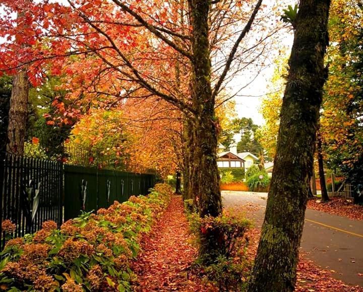 Apartamento Familia Sirangelo Gramado Buitenkant foto