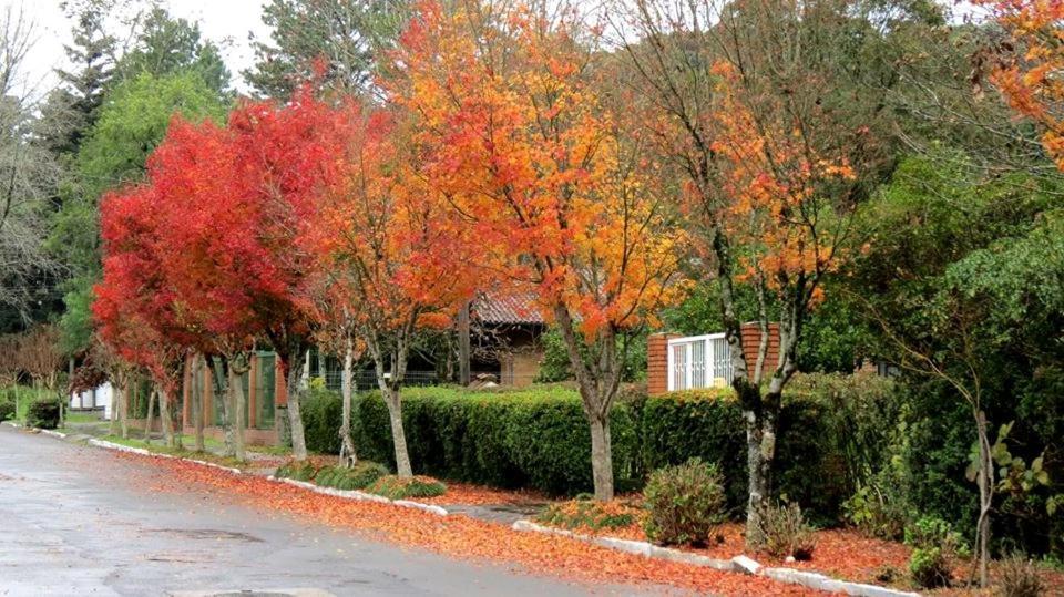 Apartamento Familia Sirangelo Gramado Buitenkant foto