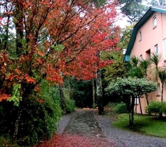 Apartamento Familia Sirangelo Gramado Buitenkant foto